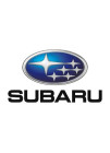 Filtro de partículas SUBARU